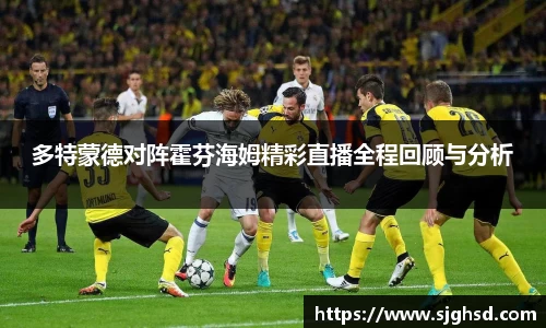 多特蒙德对阵霍芬海姆精彩直播全程回顾与分析