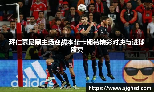 贝博BB